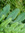 Eve | 6 comments