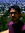 Ajay