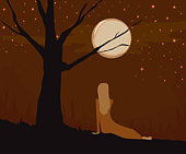 Katie Reader Fanatic