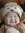 Kyle O | 11 comments