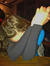 Ally
