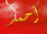 Ahmed Tolba