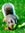 Gillian | 7 comments