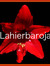 Lahierbaroja