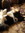 Sarah McClure | 101 comments