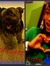 Sherliy