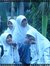 Ayie'em