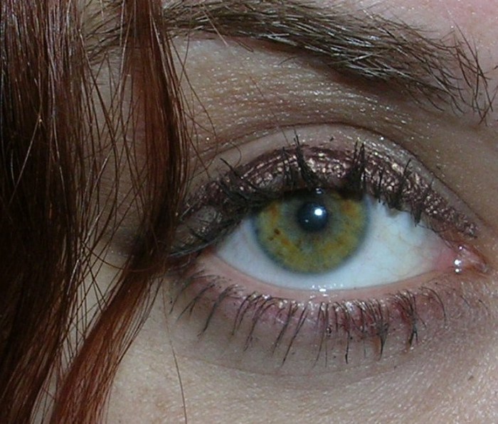 Goodreads profile picture for @ambrosia