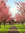 Faria.706 | 1 comments