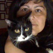 Bsilvia Graphics-illustrations