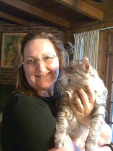 Shelle