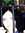 Brenda (brema) | 24 comments