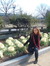Zaineb