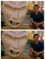 Jang David Kim