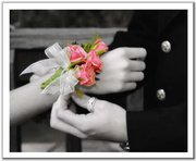 Nourhan Ahmed