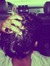 Cece