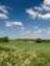 Suffolk Digital