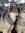 Emily | 124 comments