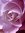 Houda H...