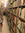 One_book_a_day