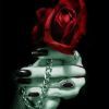 Goodreads profile picture for @anarcHy