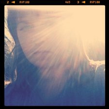 Ashley Dowler