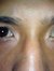 Farid T...