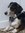 Carl | 287 comments