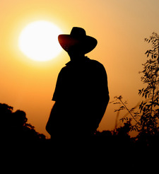 Chetan