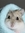 Conor (bookish_hamster) | 2 comments