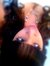 Lori Lopez