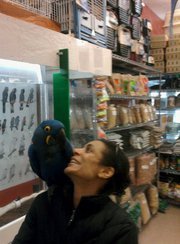 Cecile Edwards-battin