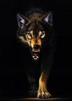 ahmed