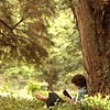 Fresh_chords