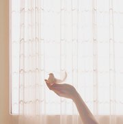 عالية الطموح