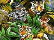 Araiswrang Basumatary