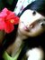 Vhangzz...