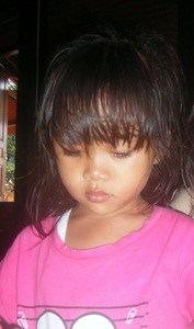 Budi