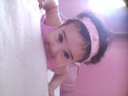 العربي شلبي