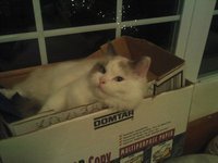 Reacher Randall
