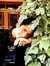 Azeem Bhat