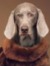 Brian