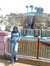 Sara Nabil