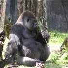 Goodreads profile picture for @unprovoked
