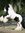 Tonya Brooks | 5 comments