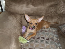 Amy