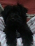 Kath