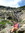 Anjali