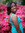 Janel Monroe (janelm) | 2 comments