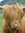 Mary Jones | 4 comments